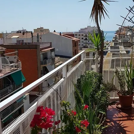 Appartement Mediterraneo *