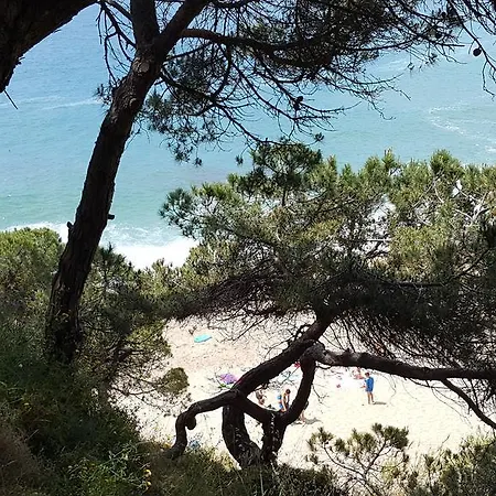 Mediterraneo *