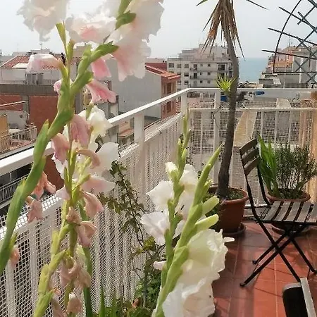 Apartment Mediterraneo Pineda de Mar